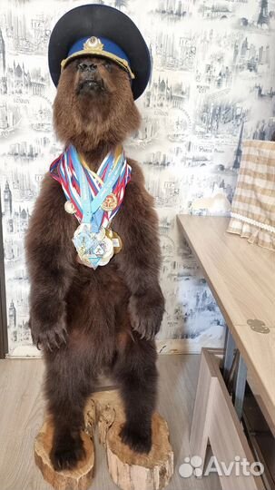 Чучело медвежонка (имитация)