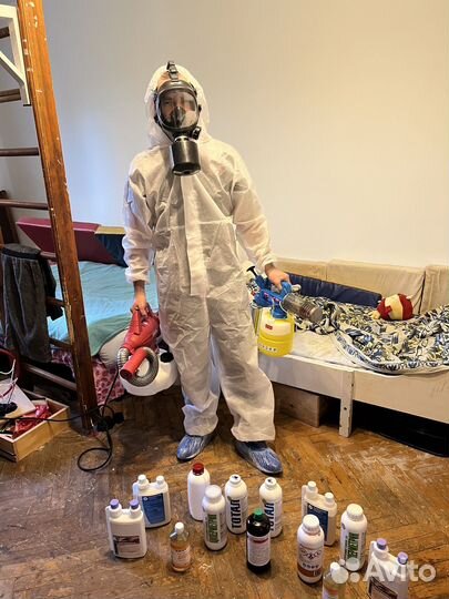 Дезинсекция клопы тараканы