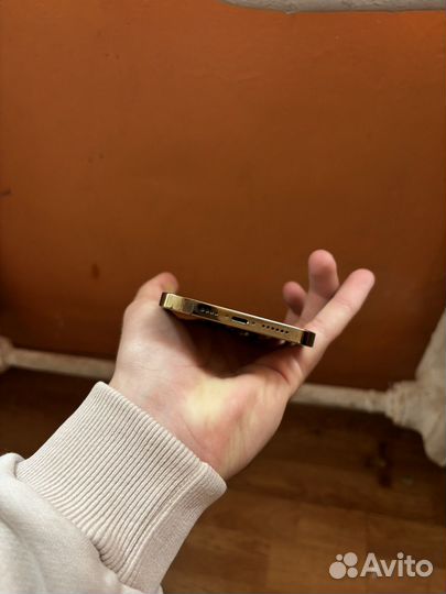 iPhone 12 Pro Max, 256 ГБ