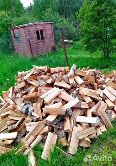 Дрова качественные от 1 куба любых пород древесины