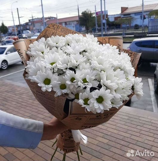 Хризантема Доставка цветов Букеты