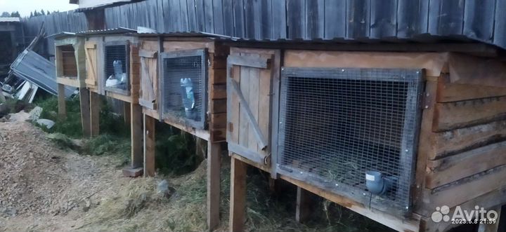 Клетка для кролика