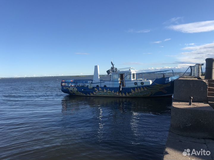 Катер, регистр, мн-102Б, мотоневодник