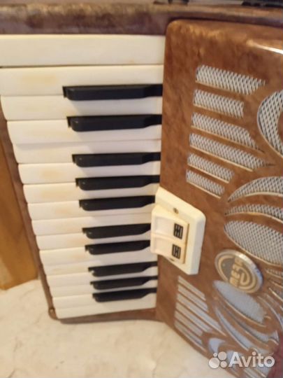 Аккордеон теза юность, 1/2