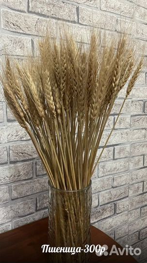 Букет из сухоцветов