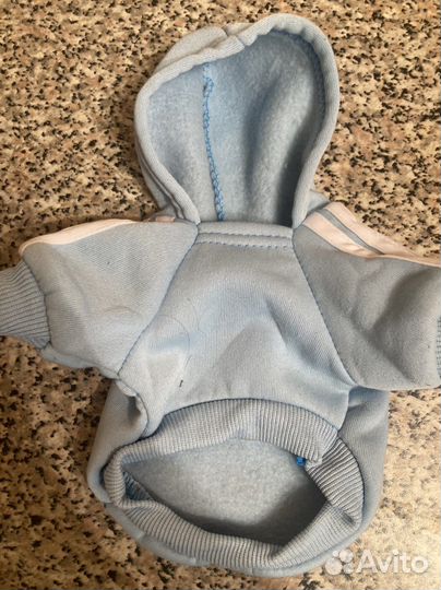 Одежда для собак