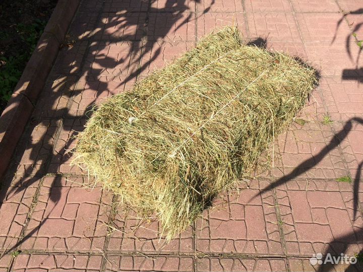 Сено в тюках для Декора, Животных и Мульчирования