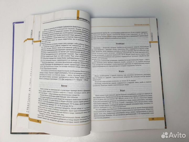 Энциклопедия о кошках