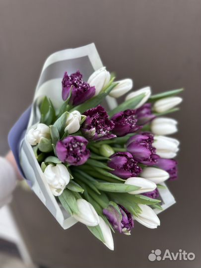 Тюльпаны к 8 марта