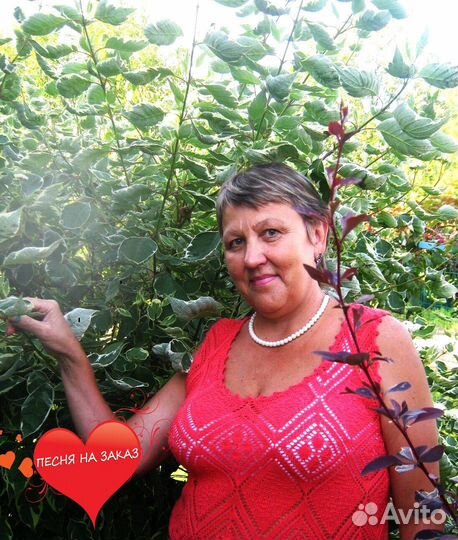 Песня по вашей истории