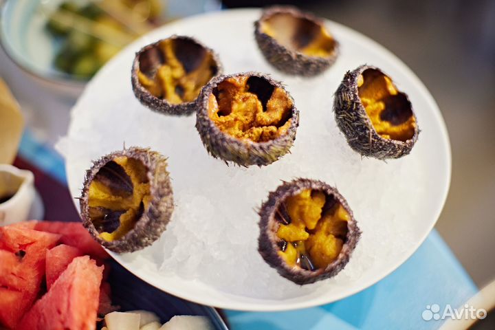 Живые устрицы