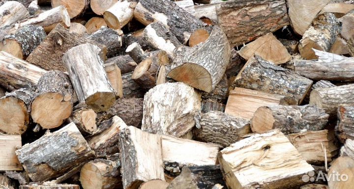 Дрова в Белоострове