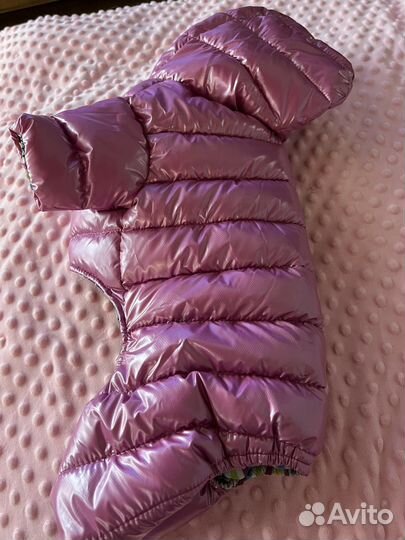 Комбинезон для маленькой собаки