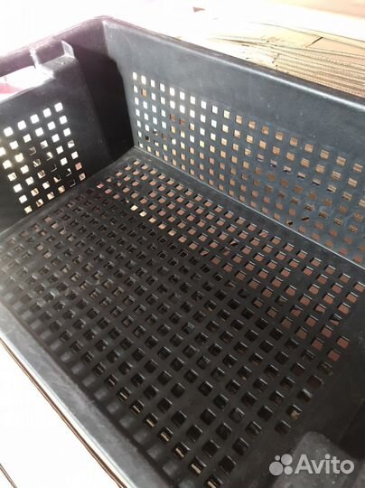 Пластиковые ящики бу