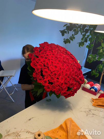 101 роза. 151 роза. Красная роза. Высокие розы