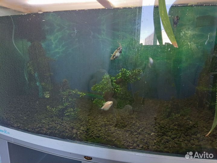 Аквариум Jebo R390