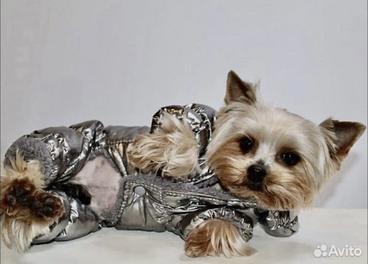 Костюм для собак размер L