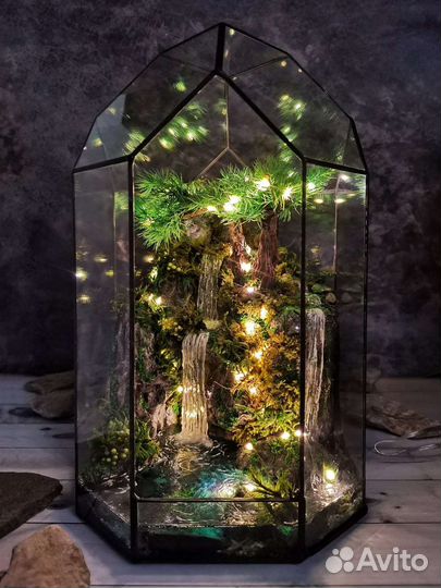 Флорариум бонсай