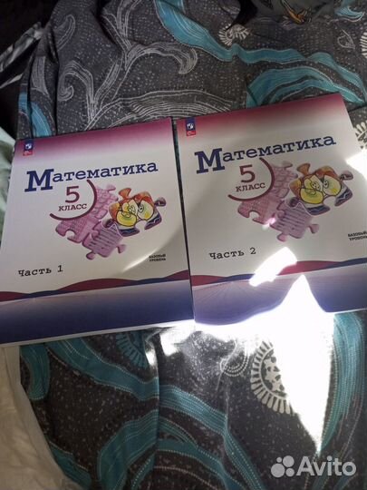 Учебники 5 класс математика