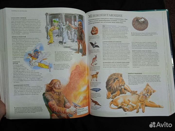 Большая иллюстрированная энциклопедия школьника