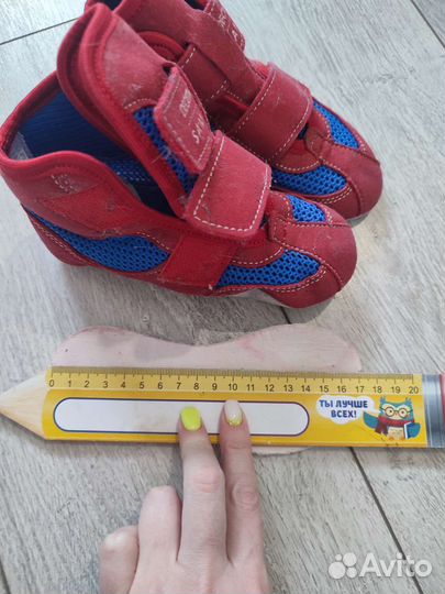 Самбовка крепыш