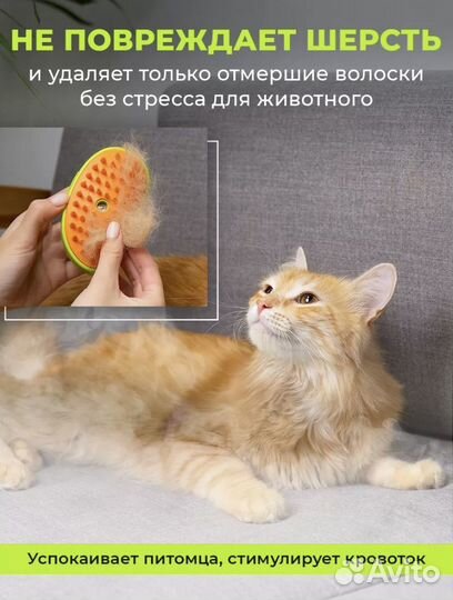 Паровая щетка для животных