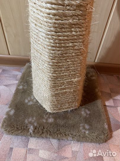 Когтеточка