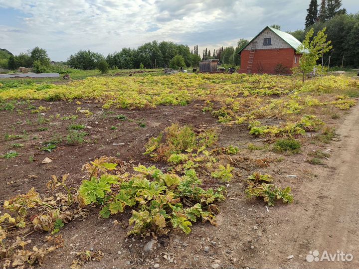 Холодный туман