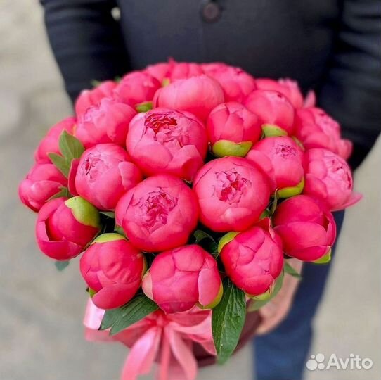 Пионы Букет пионов