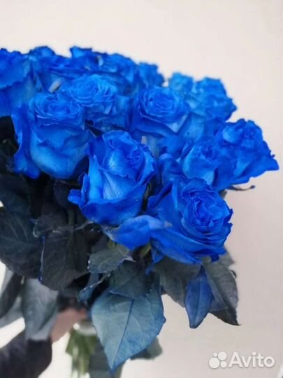 Цветы розы букет