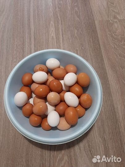 Домашние куриные яйца