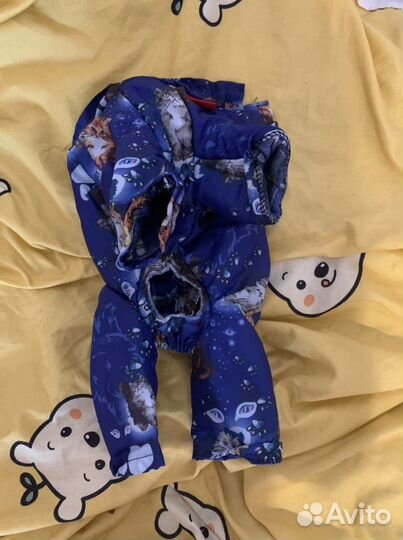 Одежда для маленьких собак