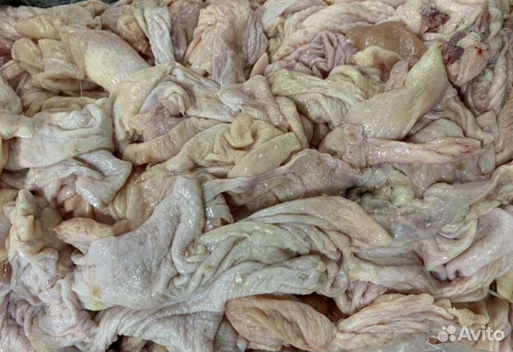 Корм для собак и кошек