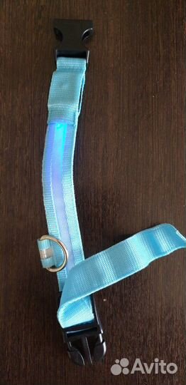 Ошейник светящийся