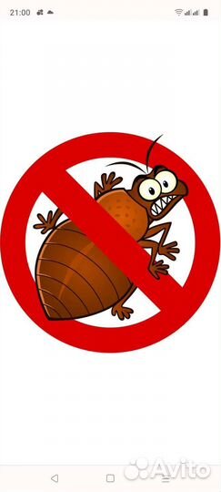 Уничтожение клопов травить тараканов обработка