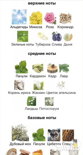 Духи Estee Lauder Knowing