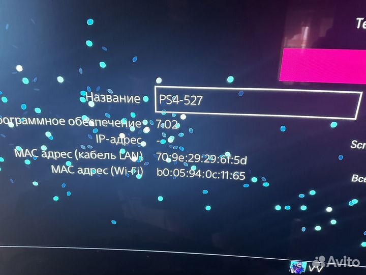 Sony PS4 Fat 7.02 под прошивку