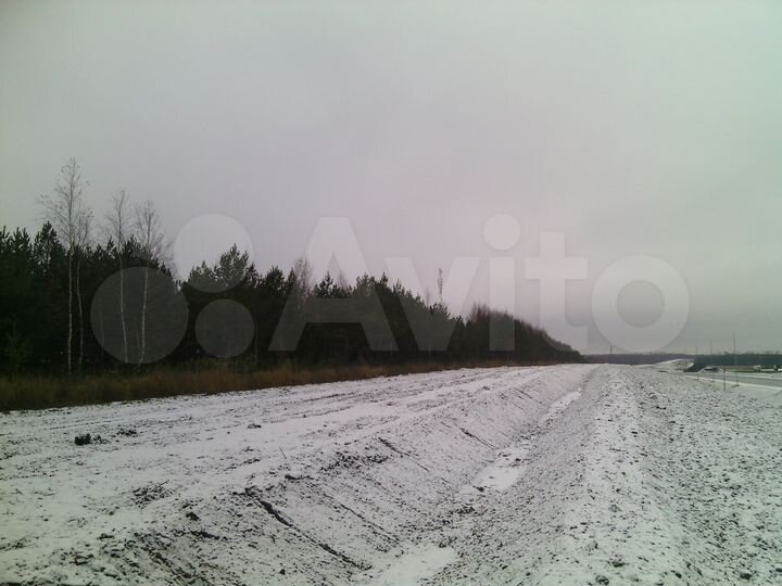 Участок 6 га (СНТ, ДНП)