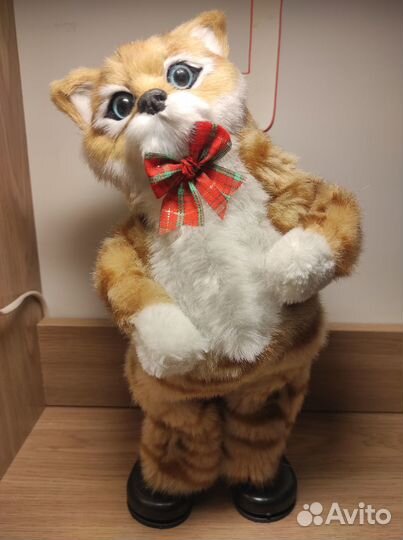 Танцующий кот