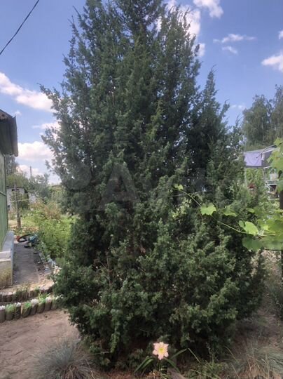 Дача 20 м² на участке 9,2 сот.