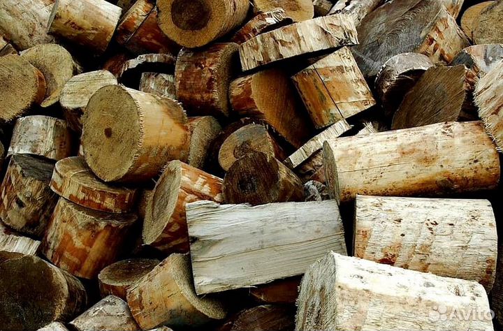 Дрова со Всеволожска