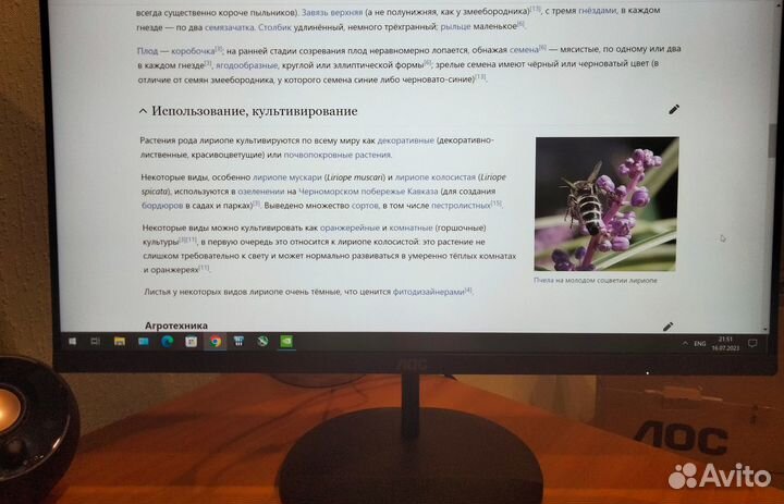 Aoc q24v4ea 24' 2560x1440, новый