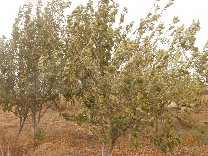 Дом 94 м² на участке 25 сот.