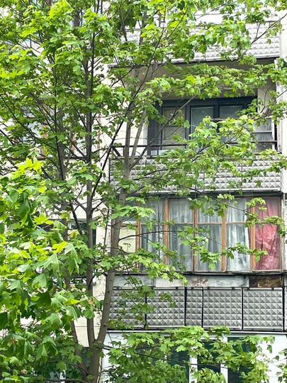 2-к. квартира, 54 м², 3/5 эт.