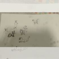 Нарисую вашего питомца по фото, Тбилиси