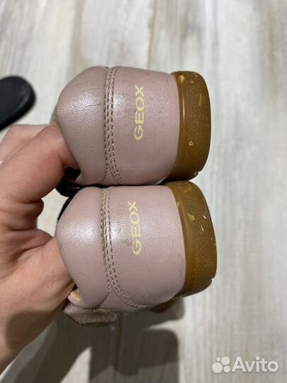 Сандалии котики geox 20 кроссовки-сеточка декатлон