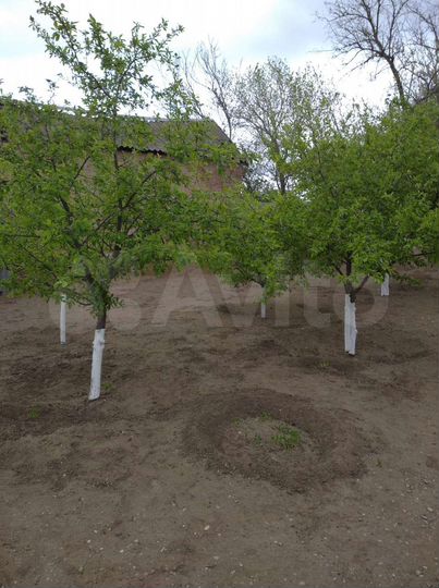 Участок 6 сот. (ИЖС)