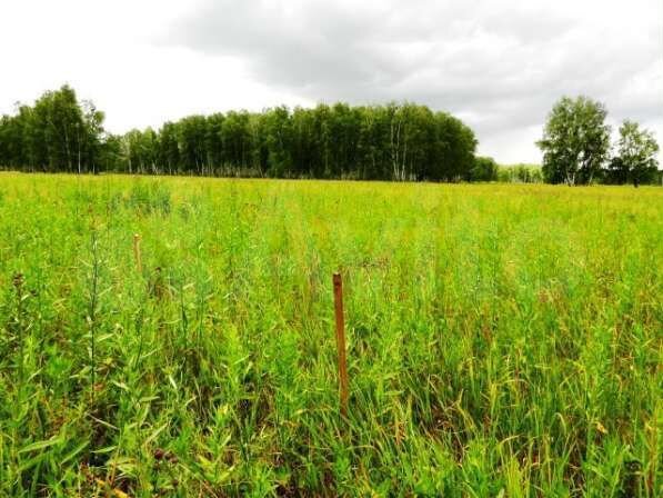 Участок 15 сот. (ИЖС)