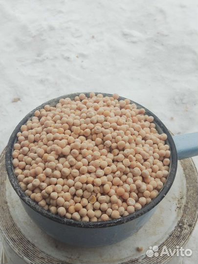 Горох, пшеница