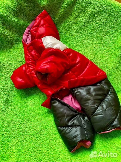 Одежда для чихуахуа весом до 2 кг. Разная